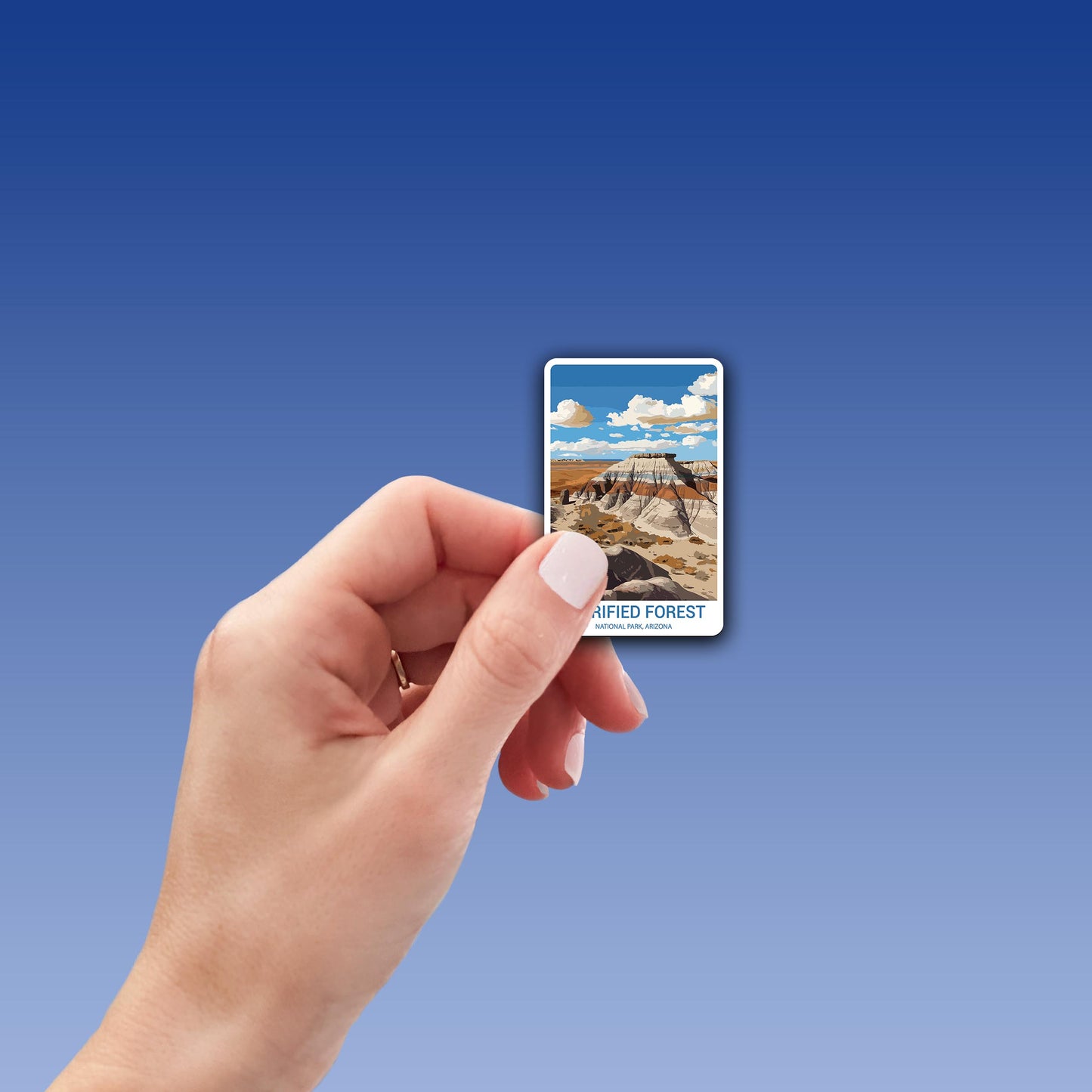 Petrified Forest National Park Sticker – Durable Vinyl Sticker