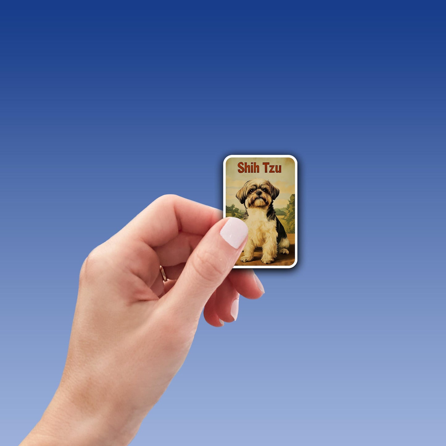 Vintage Shih Tzu Sticker – Durable Vinyl Sticker