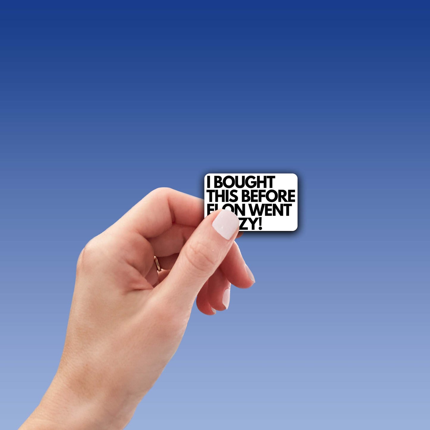 I Bought This Before Elon Went Crazy - Funny Vinyl Sticker