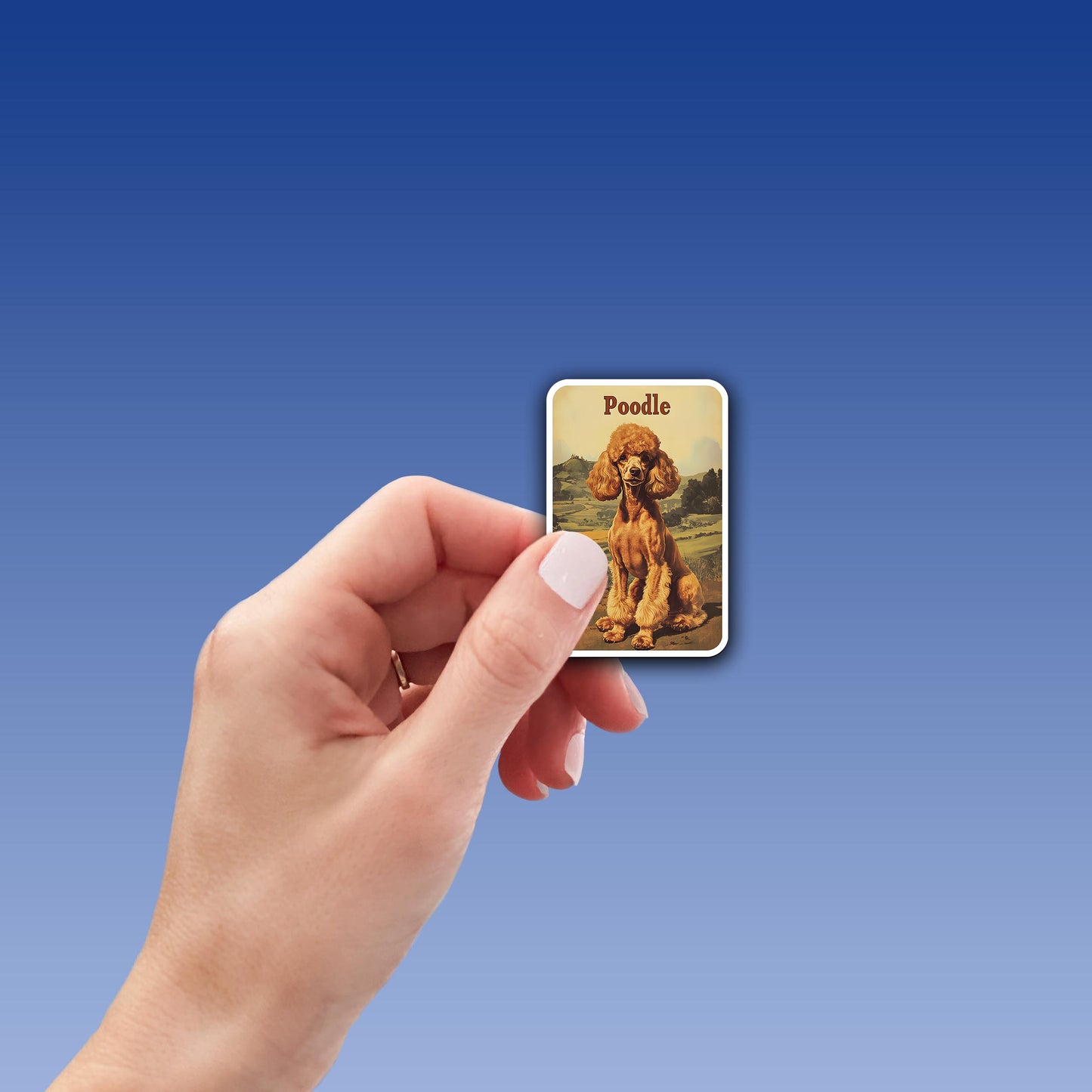 Vintage Poodle Sticker – Durable Vinyl Sticker