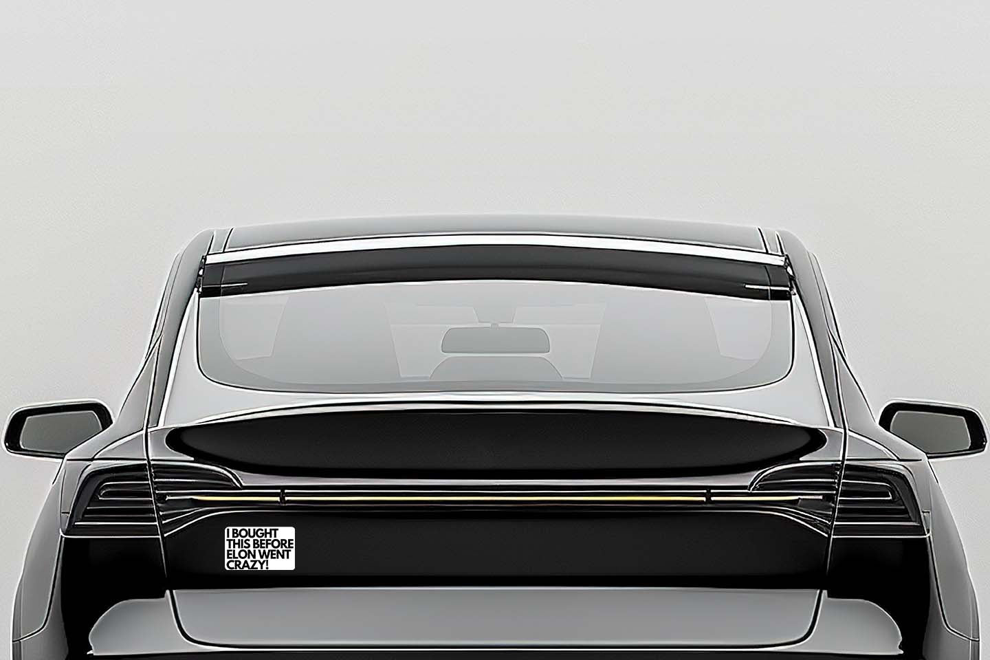 I Bought This Before Elon Went Crazy - Funny Vinyl Sticker